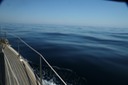 Sailing to Sardinia1